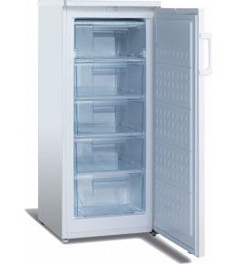 Esta Tiefkühlschrank SFS 170W