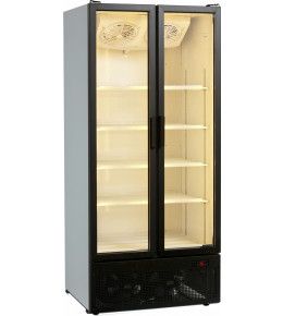 Esta Glastürkühlschrank HL 890 G