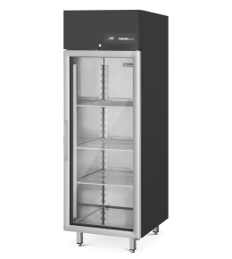 Chromonorm Glastür-Tiefkühlschrank Star Black BR 650 GN 2/1