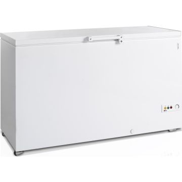 Esta Eiscremetruhe FR 505SL