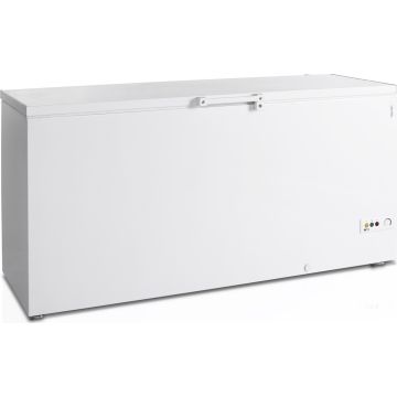 Esta Eiscremetruhe FR 605SL