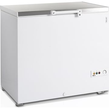 Esta Eiscremetruhe FR 305S-SL