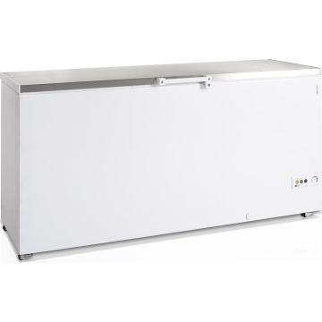 Esta Eiscremetruhe FR 605S-SL