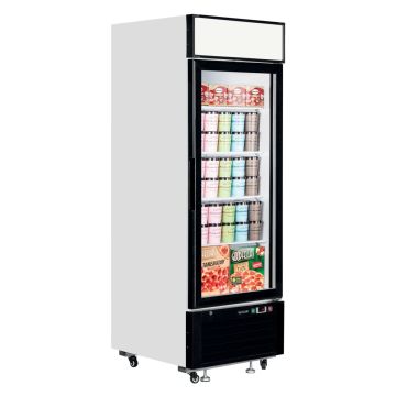 Tefcold Glastür-Tiefkühlschrank LGF2500
