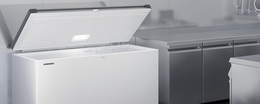 Liebherr Sommer Sale